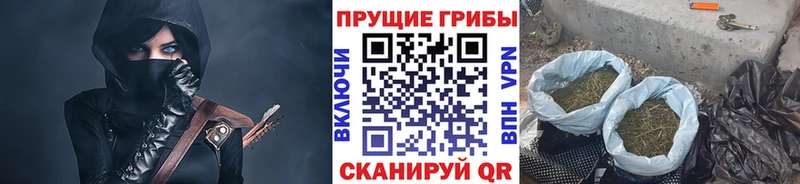 kraken ONION Печора Галлюциногенные грибы Psilocybine cubensis